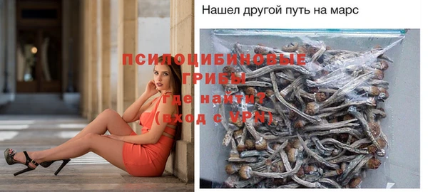 spice Баксан