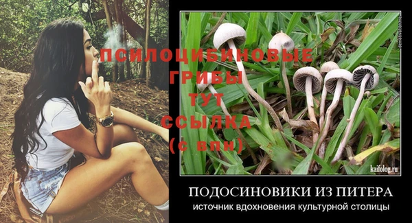 spice Баксан